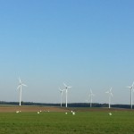 wernikow-ansichten-15